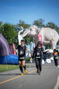 BIB: 
                            <button type="button" onclick="openModal(26543275)" class="btn btn-primary btn-sm float-right btn-popup" data-toggle="modal" data-target=".modal-high-quality">
                        <i class="fas fa-shopping-cart"></i> Add to Cart
                    </button>
                                            <button type="button" onclick="isThisMe(26543275, true)" class="btn btn-success btn-sm float-right btn-popup btn-isme hidden" data-toggle="tooltip" data-placement="bottom" title="นี่คือรูปของคุณใช่ไหม คลิกที่นี่เพื่อเอาเข้าอัลบั้ม">
                        <i class="fas fa-plus"></i> Add to album
                    </button>
                    <button type="button" onclick="isThisMe(26543275, false)" class="btn btn-warning btn-sm float-right btn-popup btn-isnotme hidden">
                        <i class="fas fa-ban"></i> Remove from album
                    </button>